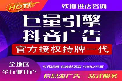 百度竞价广告案例分析：成功之道揭秘
