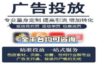搜索引擎营销（SEM）的精准投放技巧案例